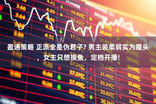 盈通策略 正派全是伪君子? 男主装柔弱实为魔头，女主只想摸鱼，定档开播!