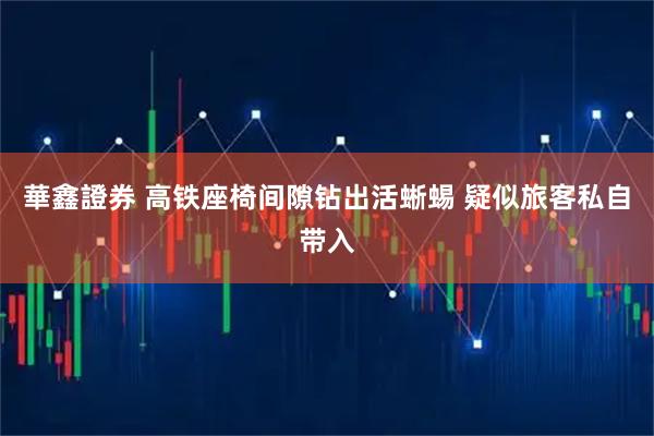 華鑫證券 高铁座椅间隙钻出活蜥蜴 疑似旅客私自带入