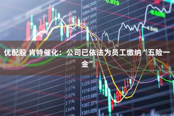 优配股 肯特催化：公司已依法为员工缴纳“五险一金”